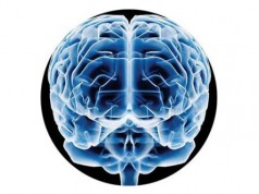 Peor salud mental para las personas que residen en grandes ciudades Salud mental en las ciudades