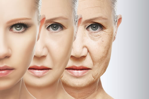 Ejercicio y dieta contra el envejecimiento