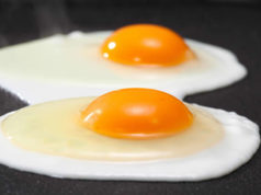 Gracias al colesterol Gracias al colesterol