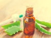 Los mejores usos del aloe vera o sábila Usos del aloe vera